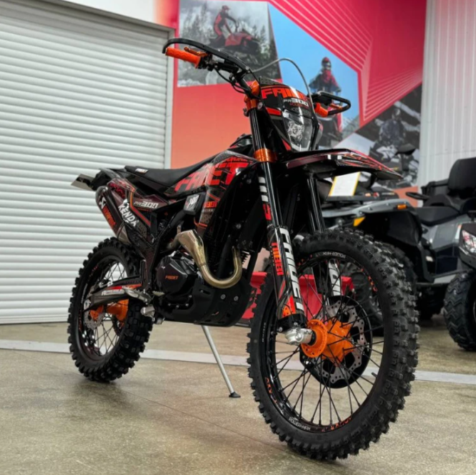 Кроссовый мотоцикл FAIDET PR300 MAX WP в Невинномысске