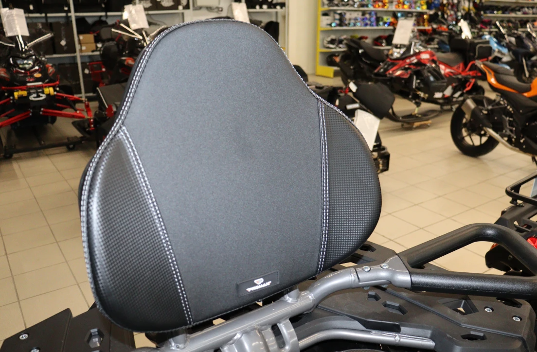 Квадроцикл PROMAX RENEGADE 300 LONG WINCH PRO (2025) в Невинномысске