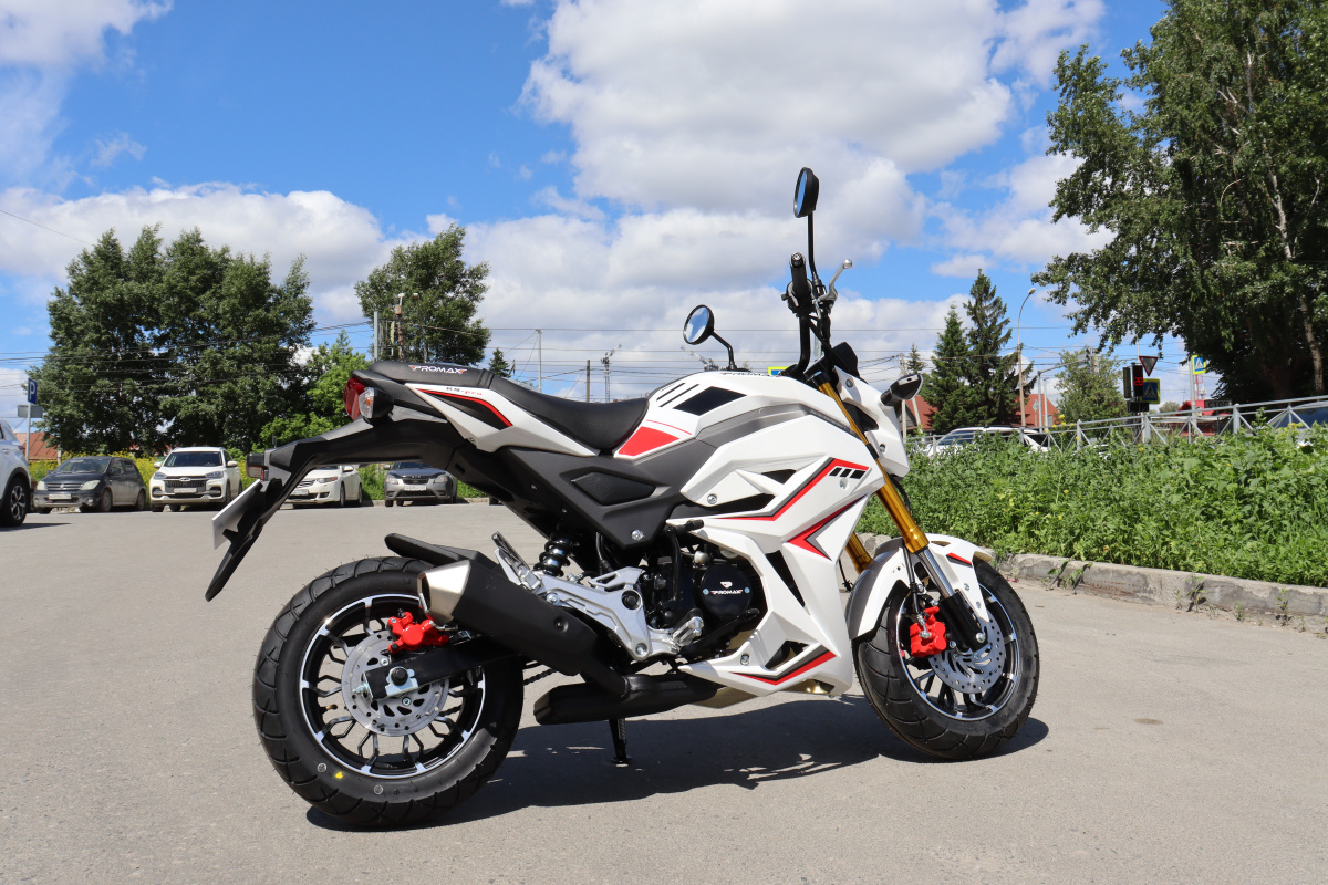 Мотоцикл PROMAX STRYKER 200(49) 2.0 в Невинномысске