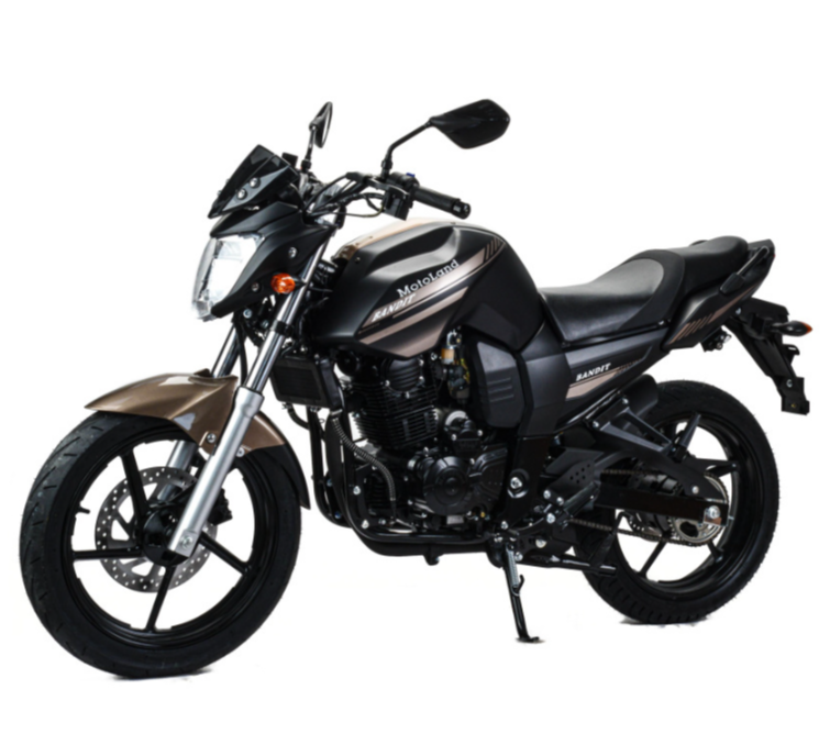 Мотоцикл MOTOLAND (МОТОЛЕНД) 300 BANDIT в Невинномысске