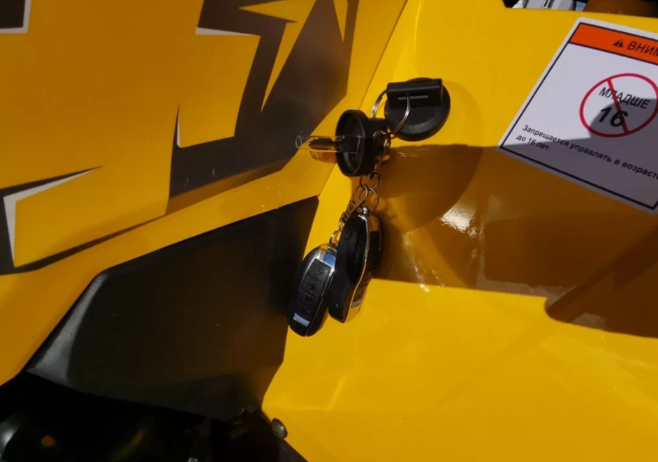 Квадроцикл MOTOLAND (МОТОЛЕНД) VOX200 WILD TRACK X PRO (баланс. вал) в Невинномысске