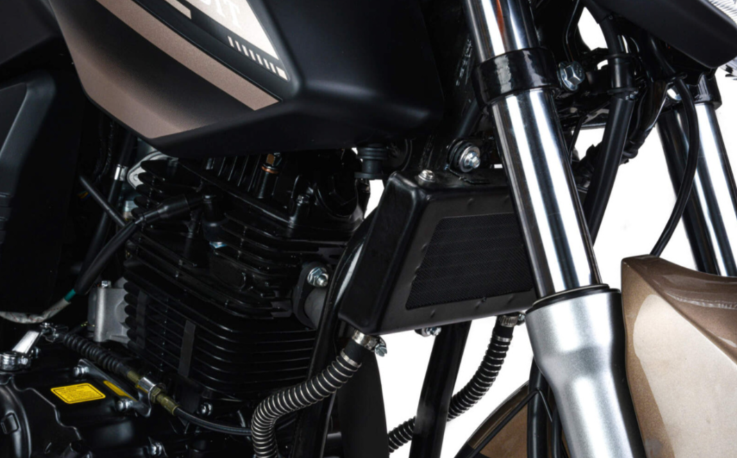 Мотоцикл MOTOLAND (МОТОЛЕНД) 300 BANDIT в Невинномысске