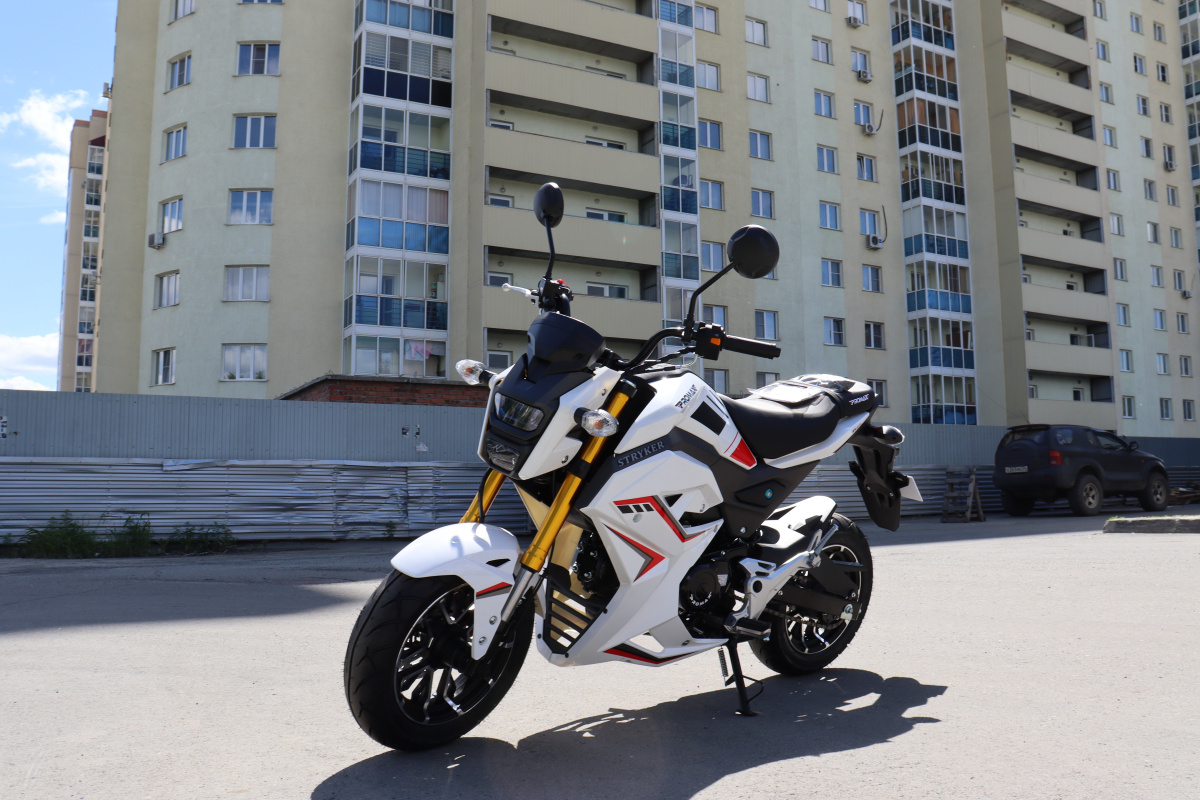 Мотоцикл PROMAX STRYKER 200(49) 2.0 в Невинномысске