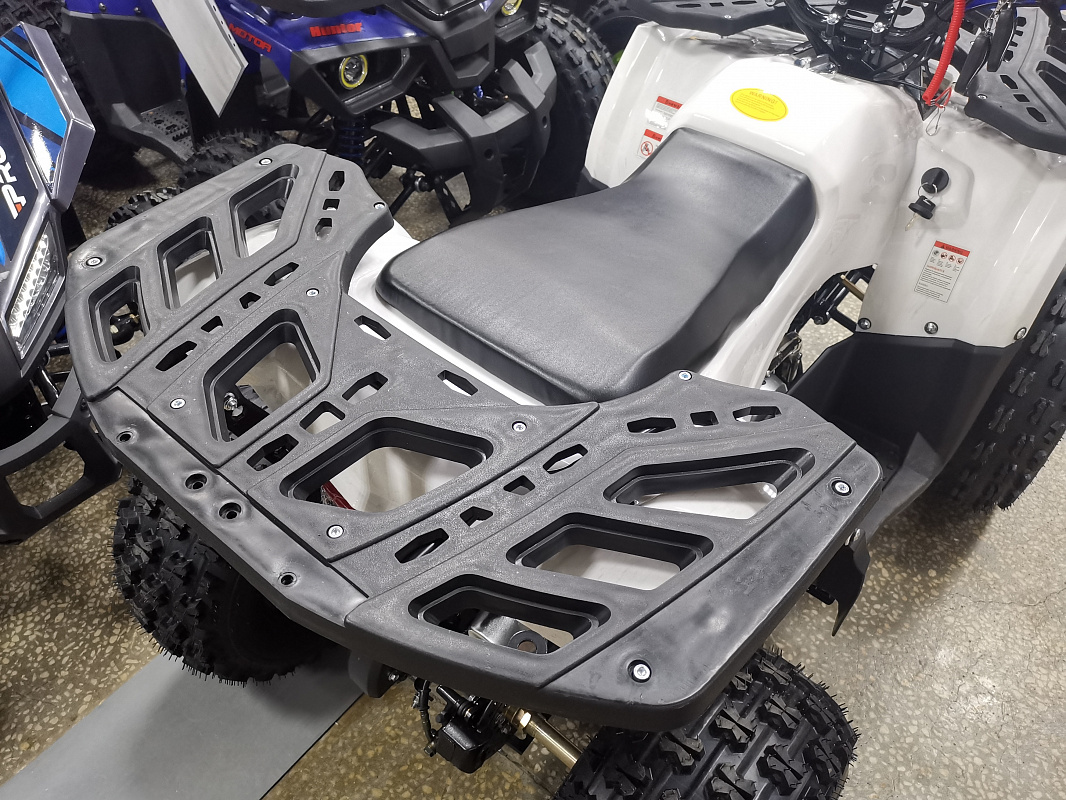 Квадроцикл PROMAX WILD 175 LUX в Невинномысске