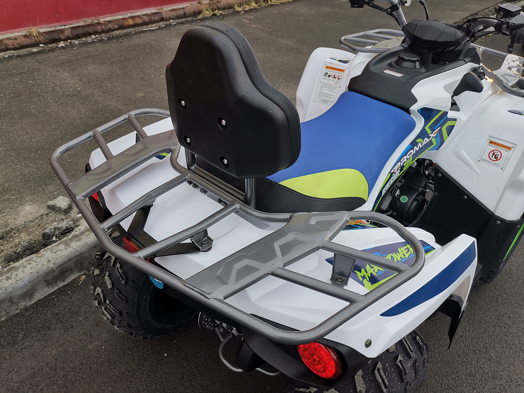 Квадроцикл PROMAX RENEGADE 280 LUX (2025) в Невинномысске