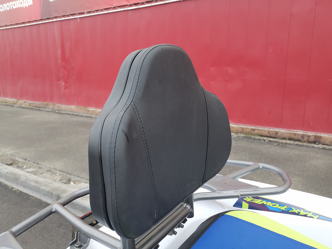 Квадроцикл PROMAX RENEGADE 280 LUX (2025) в Невинномысске