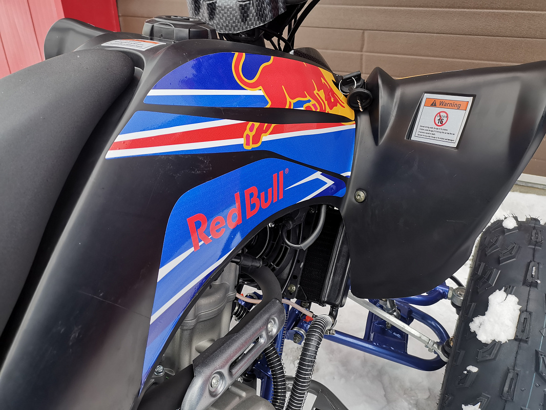 Квадроцикл PROMAX RAPTOR 300 NEW RedBull в Невинномысске