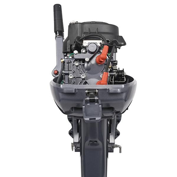 ЛОДОЧНЫЙ МОТОР ALLFA CG Т9,9 в Невинномысске