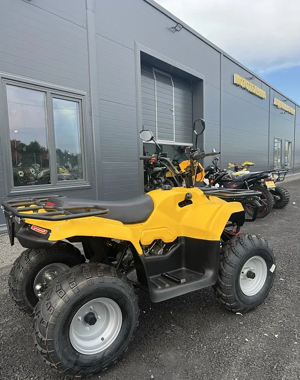 КВАДРОЦИКЛ IRBIS ATV 250  в Невинномысске