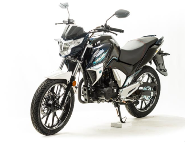 Мотоцикл MOTOLAND (МОТОЛЕНД) FIGHTER 250 в Невинномысске