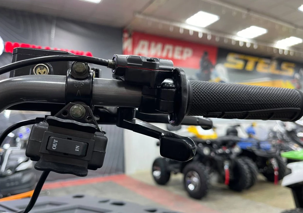 Квадроцикл PROMAX RENEGADE 300 LONG WINCH PRO (2025) в Невинномысске