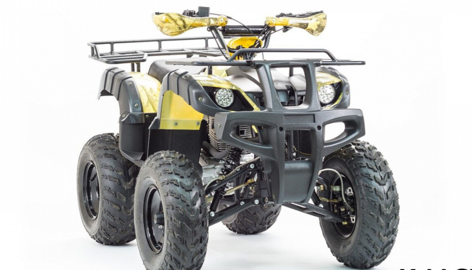 Квадроцикл MOTOLAND (МОТОЛЕНД) 250 ADVENTURE в Невинномысске