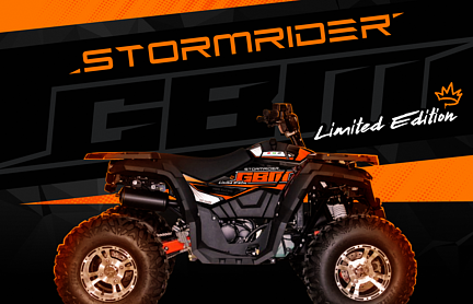 Квадроцикл GBM STORMRIDER 320 NEW LUX в Невинномысске