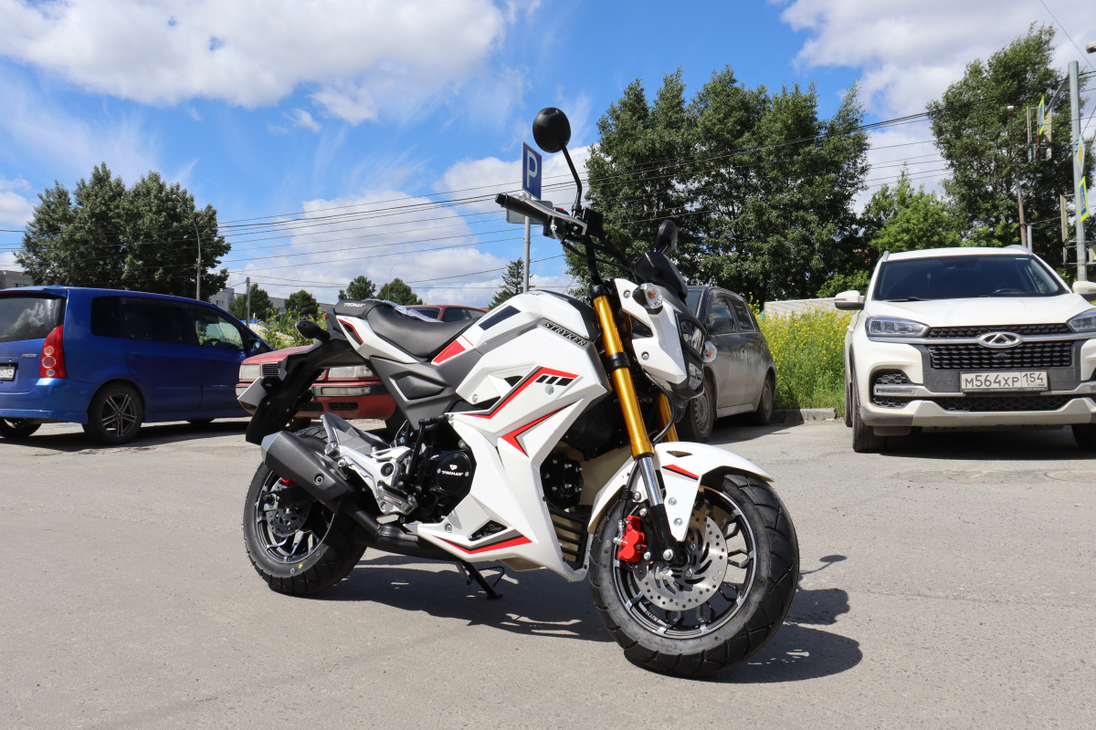 Мотоцикл PROMAX STRYKER 200(49) 2.0 в Невинномысске