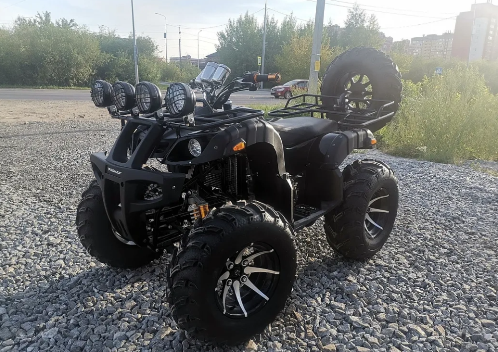 Квадроцикл PROMAX LEO 300 Max (кардан) в Невинномысске