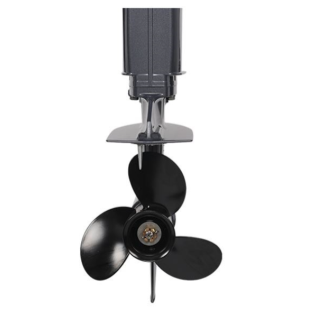 Лодочный мотор ALLFA CG Т40FWT S в Невинномысске