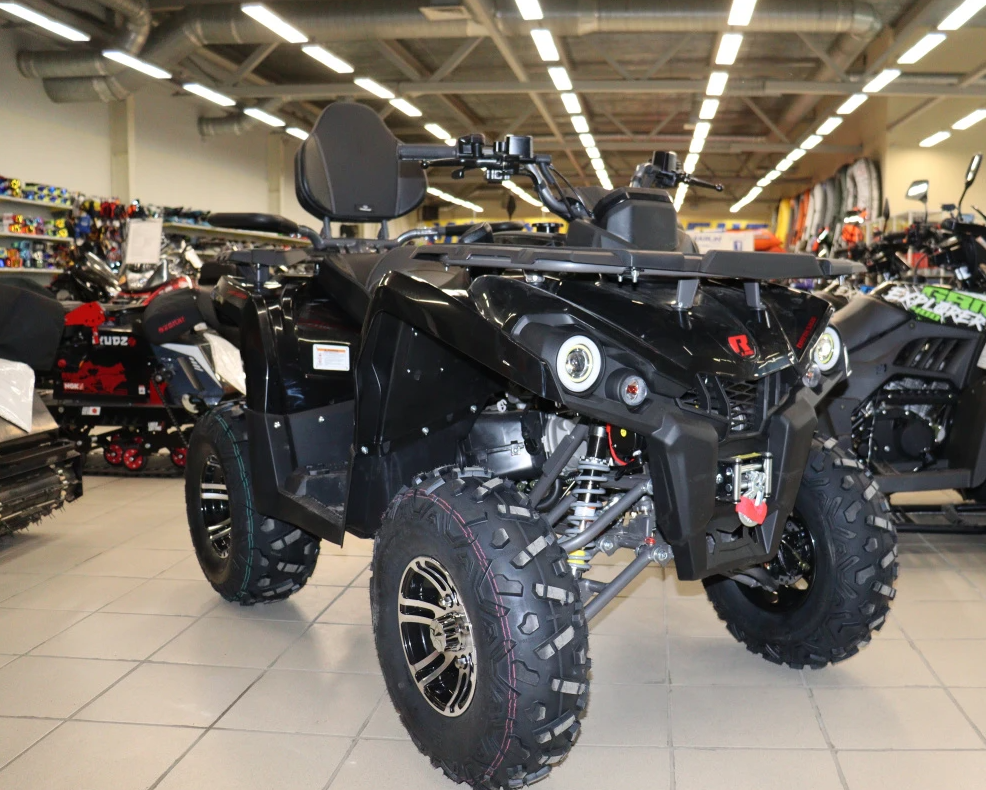 Квадроцикл PROMAX RENEGADE 300 LONG WINCH PRO (2025) в Невинномысске