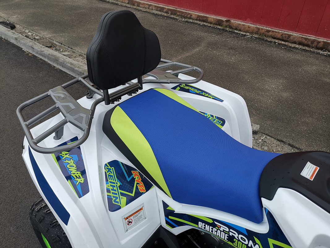 Квадроцикл PROMAX RENEGADE 280 LUX (2025) в Невинномысске