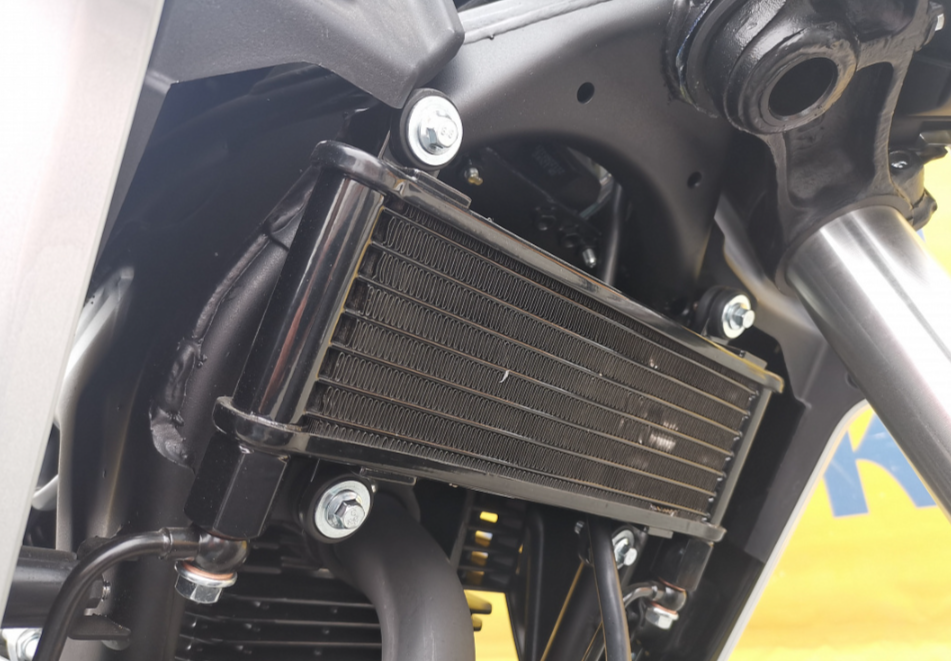 Мотоцикл MOTOLAND (МОТОЛЕНД) 250 CB250 (172FMM-5/PR250) (2022 г.) в Невинномысске