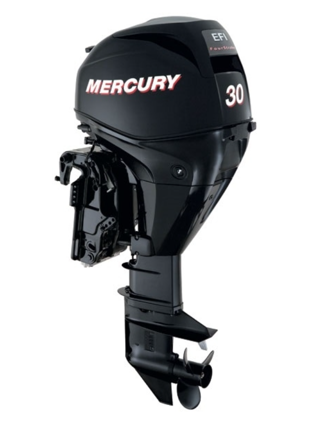 ЛОДОЧНЫЙ МОТОР MERCURY  F 30 ELH GA EFI в Невинномысске