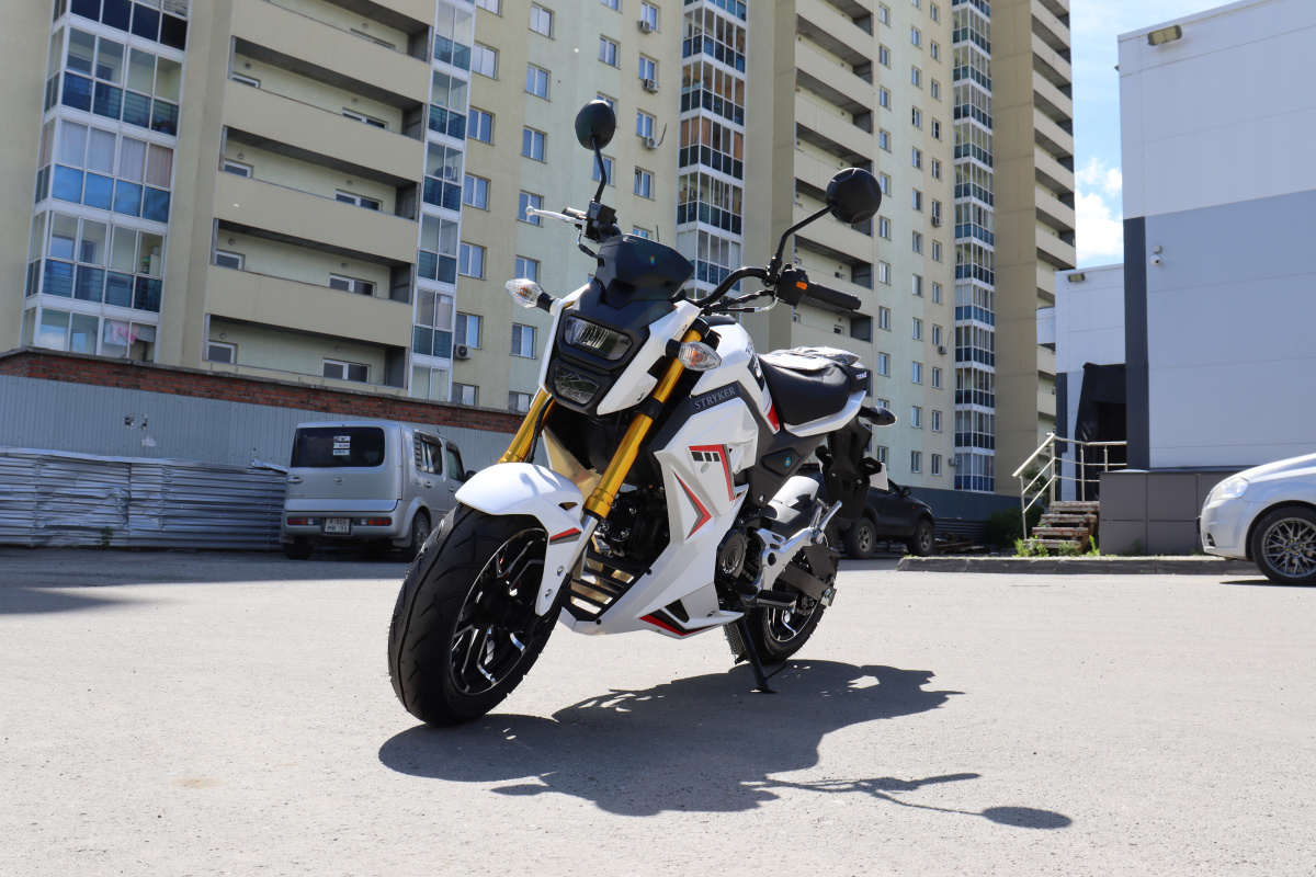 Мотоцикл PROMAX STRYKER 200(49) 2.0 в Невинномысске