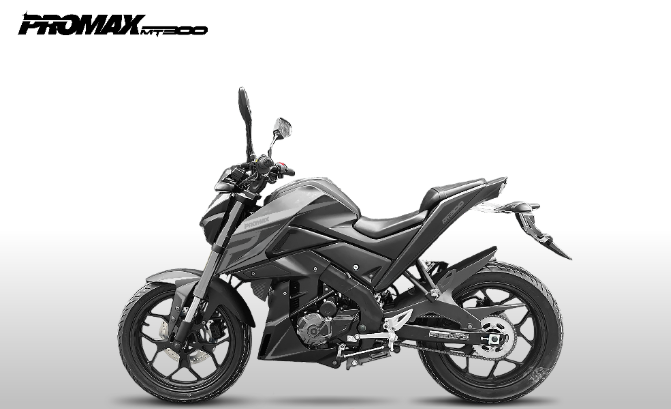 Мотоцикл PROMAX MT300 в Невинномысске