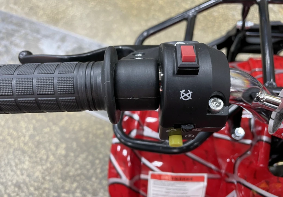 Квадроцикл PROMAX ATV MINI 2T 70CC р/с в Невинномысске