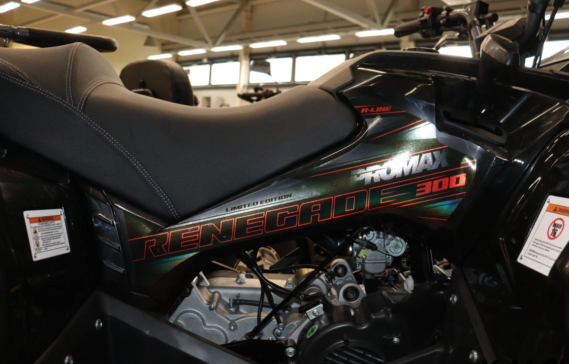 Квадроцикл PROMAX RENEGADE 300 LONG WINCH PRO (2025) в Невинномысске