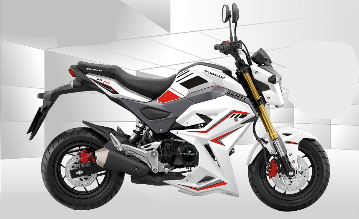 Мотоцикл PROMAX STRYKER 200(49) 2.0 в Невинномысске