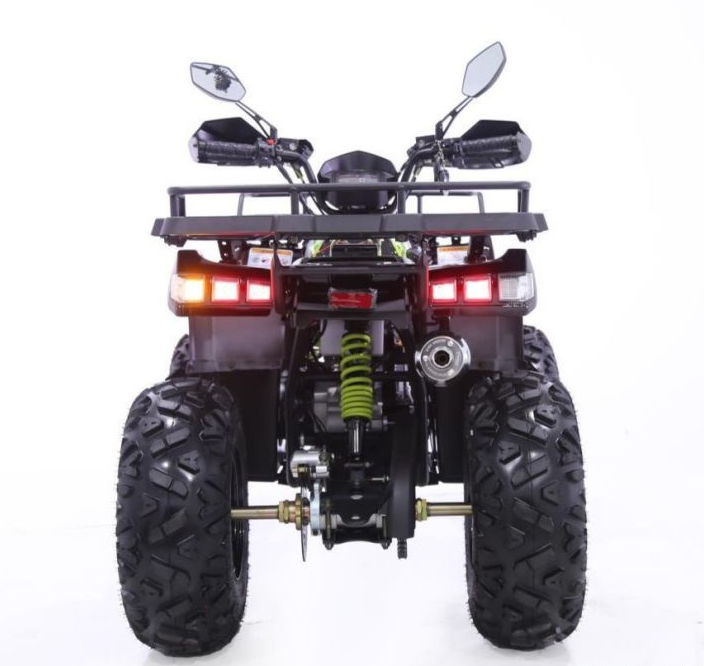 Квадроцикл YACOTA WARRIOR 200 PRO в Невинномысске