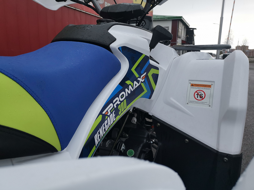 Квадроцикл PROMAX RENEGADE 280 LUX (2025) в Невинномысске