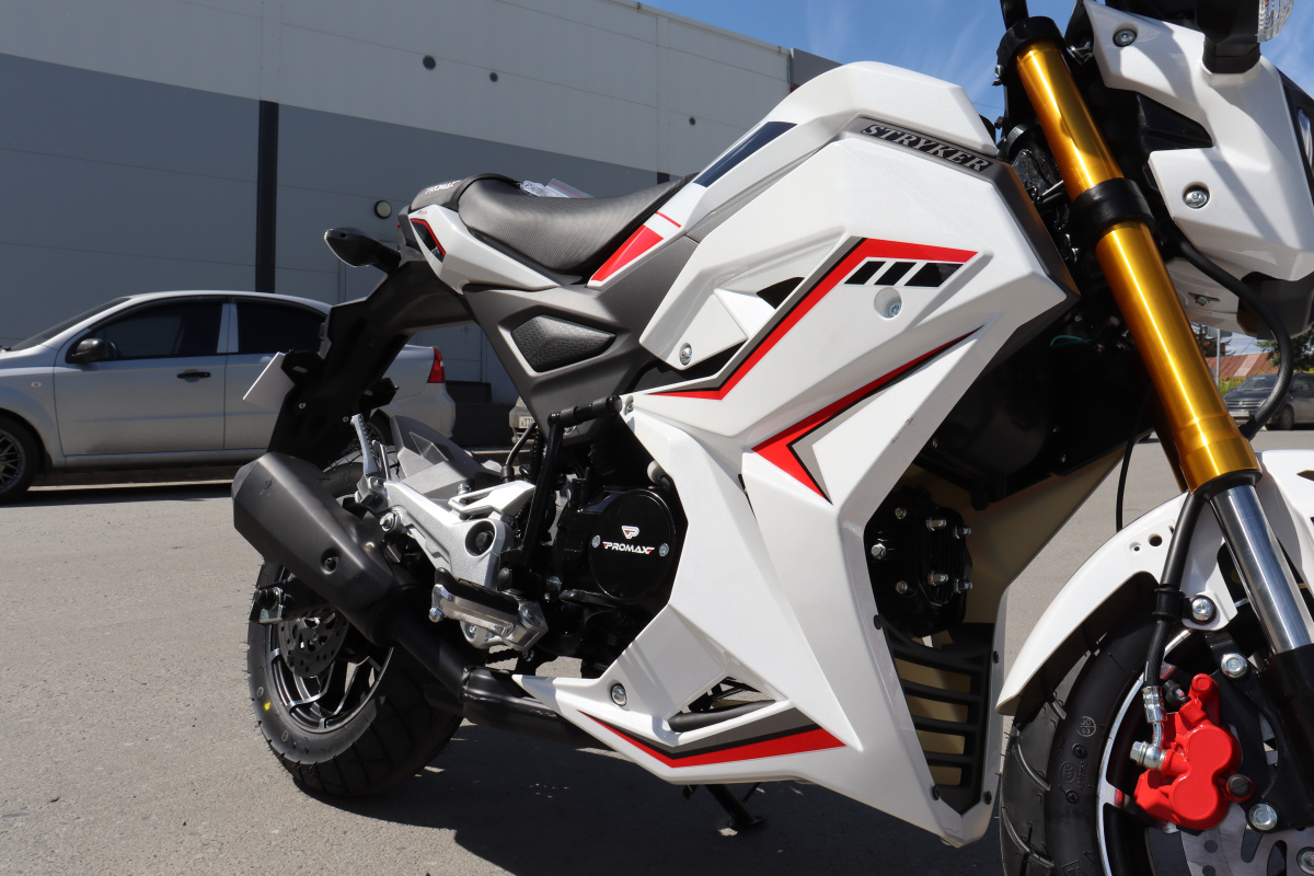 Мотоцикл PROMAX STRYKER 200(49) 2.0 в Невинномысске