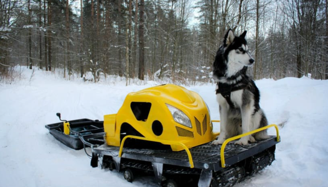 Мотобуксировщик LEBEDEV MOTORS ВОЛКОДАВ POWER V13 в Невинномысске