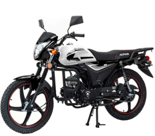 Мопед MOTOLAND (МОТОЛЕНД) Альфа RS 11 (LM48-B) в Невинномысске