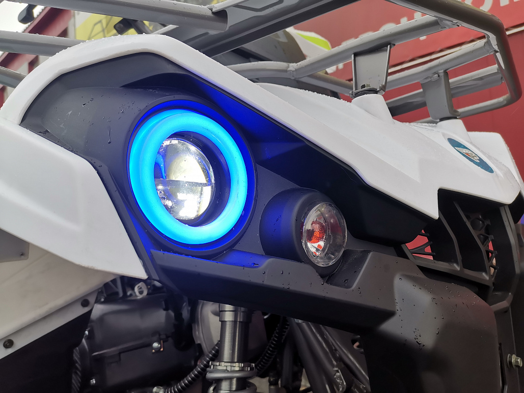 Квадроцикл PROMAX RENEGADE 280 LUX (2025) в Невинномысске