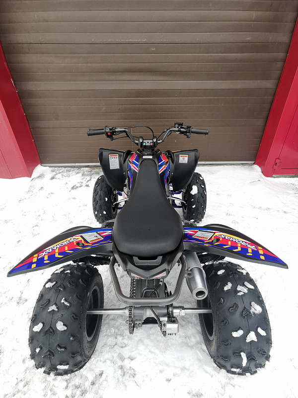 Квадроцикл PROMAX RAPTOR 300 NEW RedBull в Невинномысске