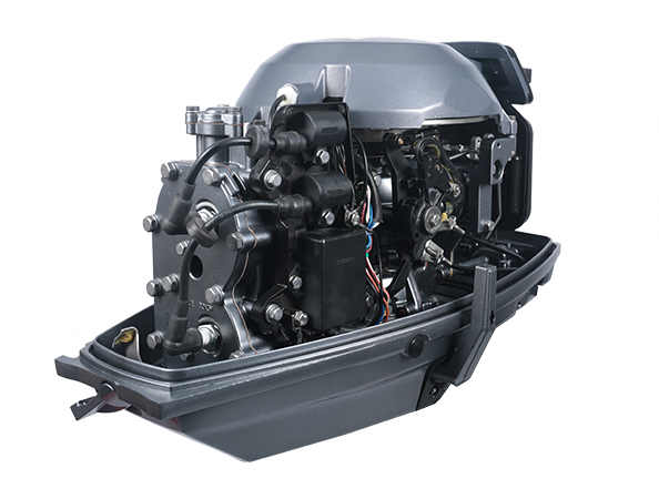 ЛОДОЧНЫЙ МОТОР ALLFA CG T30 FW S в Невинномысске