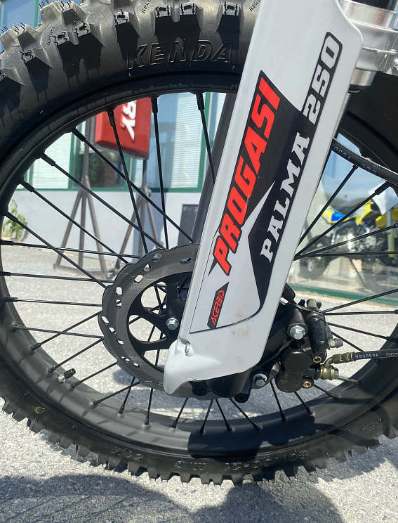 Мотоцикл Progasi PALMA 300 NEW (CB300F) в Невинномысске