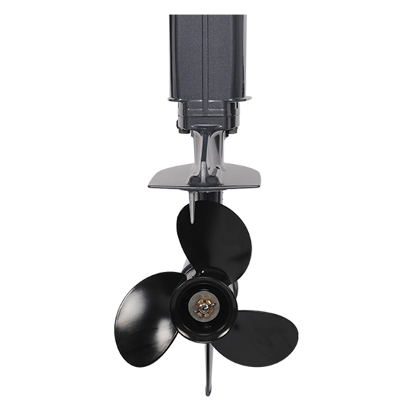 ЛОДОЧНЫЙ МОТОР ALLFA CG T30 FW S в Невинномысске