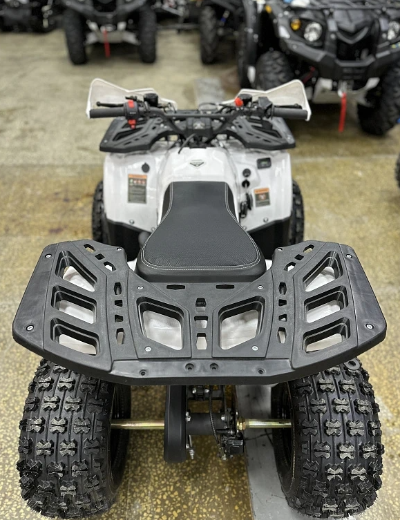 Квадроцикл PROMAX WILD 2.0 190 в Невинномысске