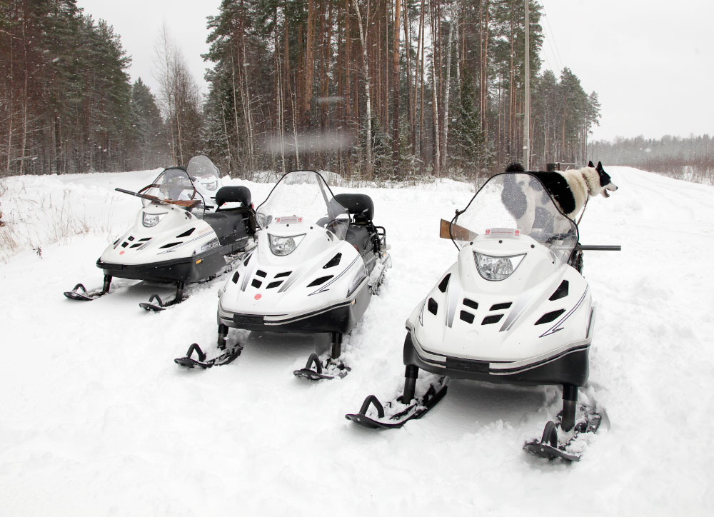 СНЕГОХОД РМ ТАЙГА ВАРЯГ 550 V в Невинномысске