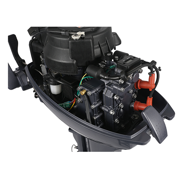 ЛОДОЧНЫЙ МОТОР ALLFA CG Т9,9 в Невинномысске