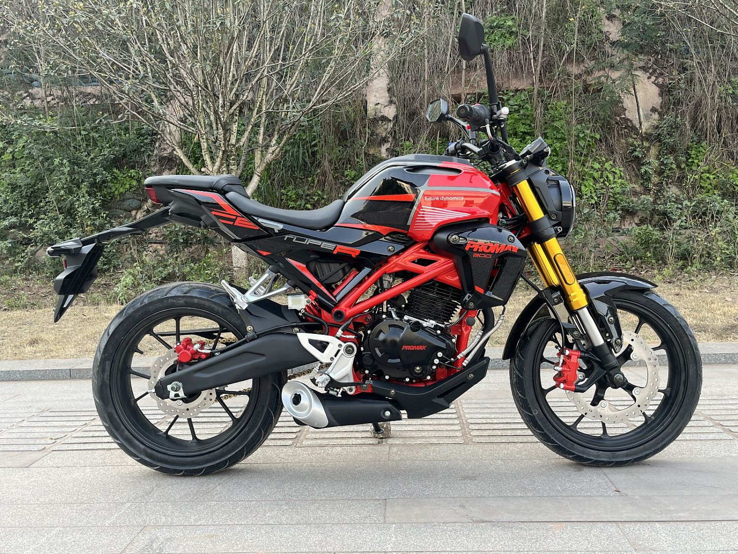 Мотоцикл PROMAX CB300 в Невинномысске