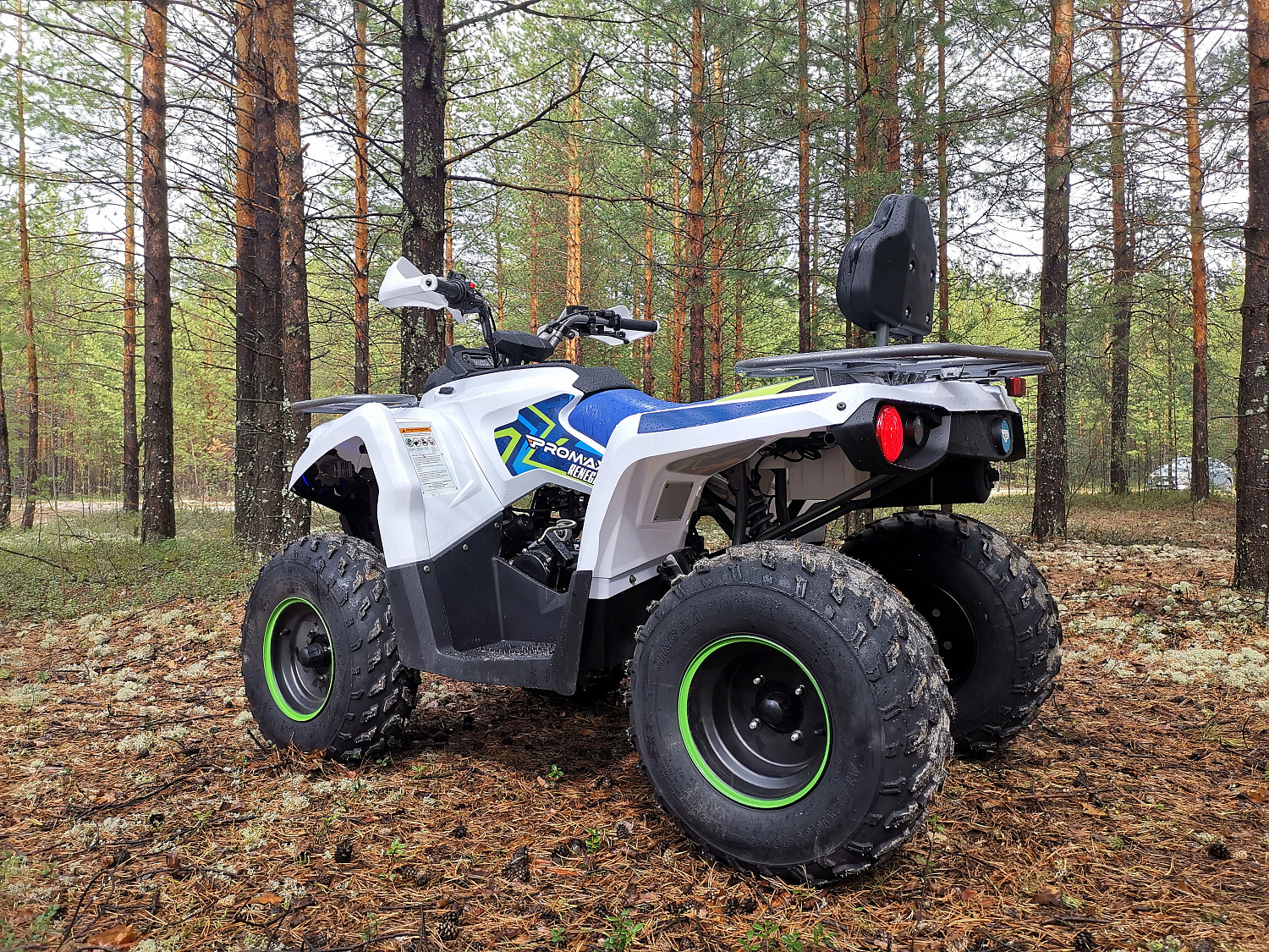 Квадроцикл PROMAX RENEGADE 280 (2025) в Невинномысске