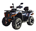 Квадроцикл MOTOLAND (МОТОЛЕНД) 300 MAX X в Невинномысске