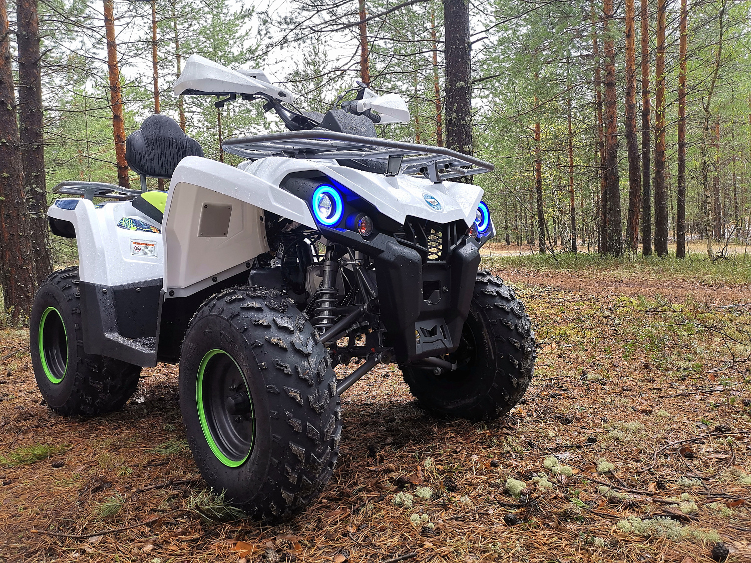 Квадроцикл PROMAX RENEGADE 280 (2025) в Невинномысске