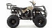 Квадроцикл MOTOLAND (МОТОЛЕНД) 200 ALL ROAD в Невинномысске