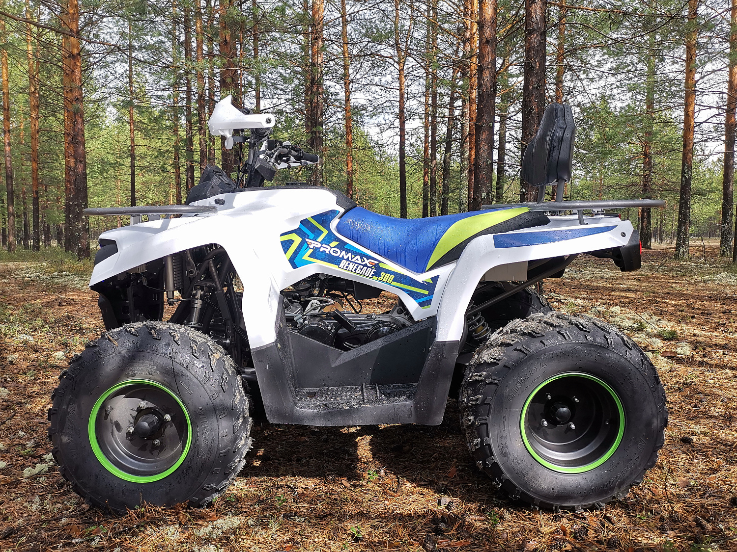 Квадроцикл PROMAX RENEGADE 280 (2025) в Невинномысске