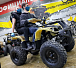 Квадроцикл PROMAX ATV 250 (2025) в Невинномысске