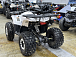 Квадроцикл PROMAX WILD 2.0 190 LUX в Невинномысске
